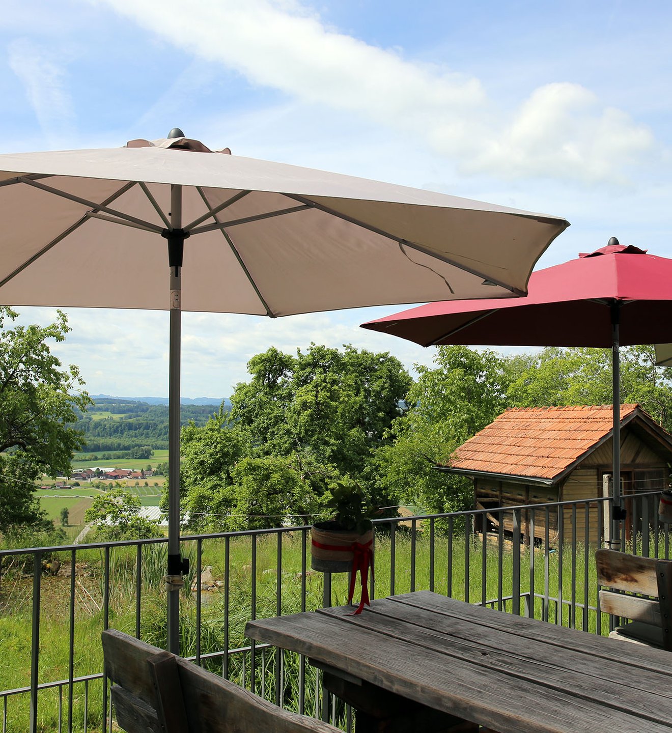 Sonnenschirm und Aussicht ins Thurtal von der Terrasse